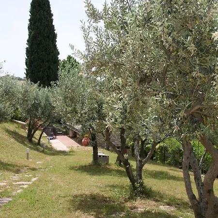 Il Borghettaccio
